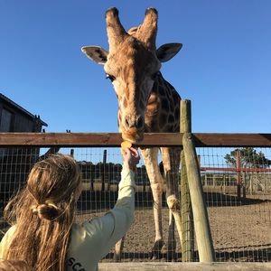 Meet your Posher, Grace